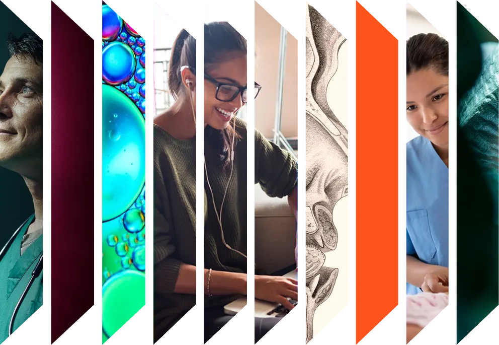 Colourful accordion of various health images