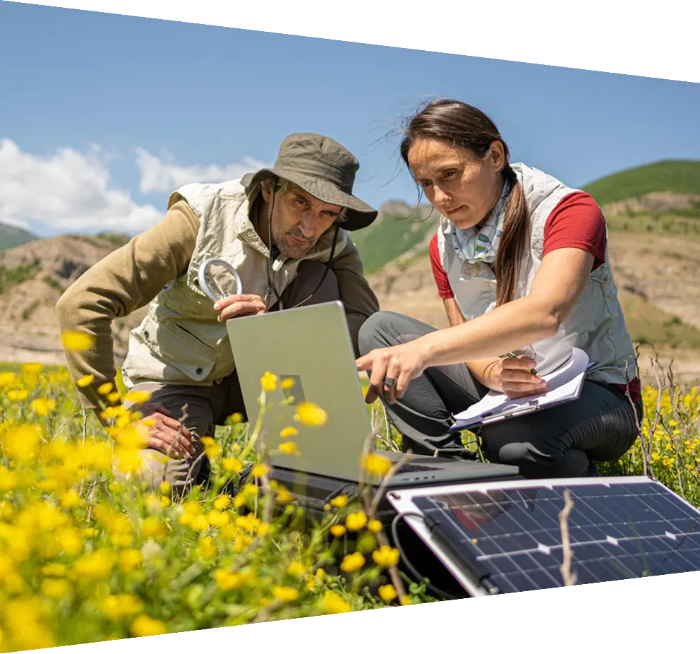 Ecologists team using AI-driven application powered by solar energy