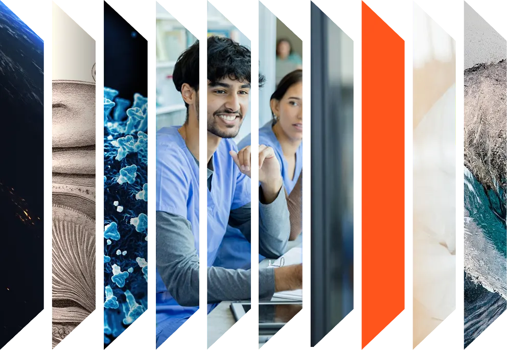 Colourful accordion of various health images