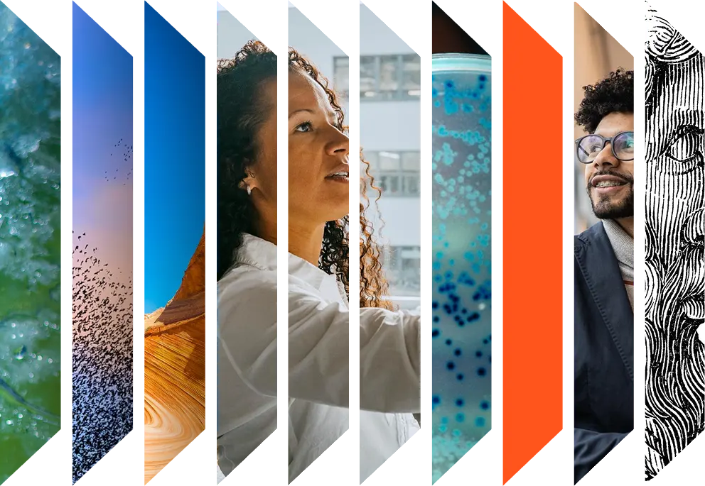 Colourful accordion of various images