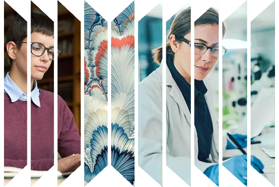 Colourful accordion of various images