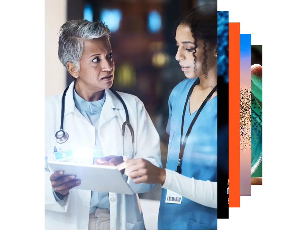 Female doctor using digital tablet in a hospital