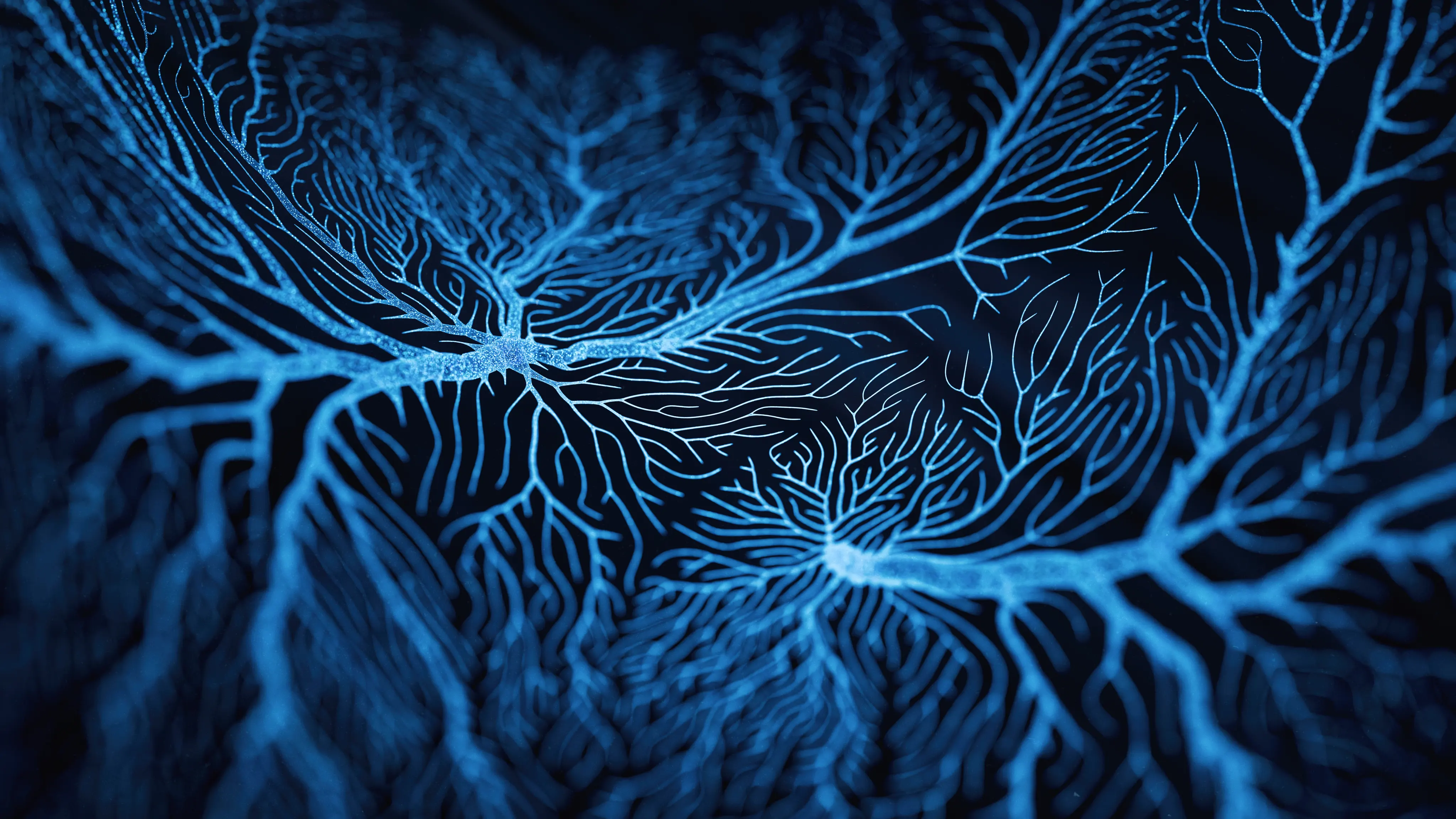 Neuron system disease