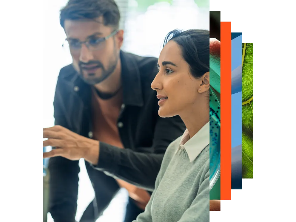 Two colleagues talking 