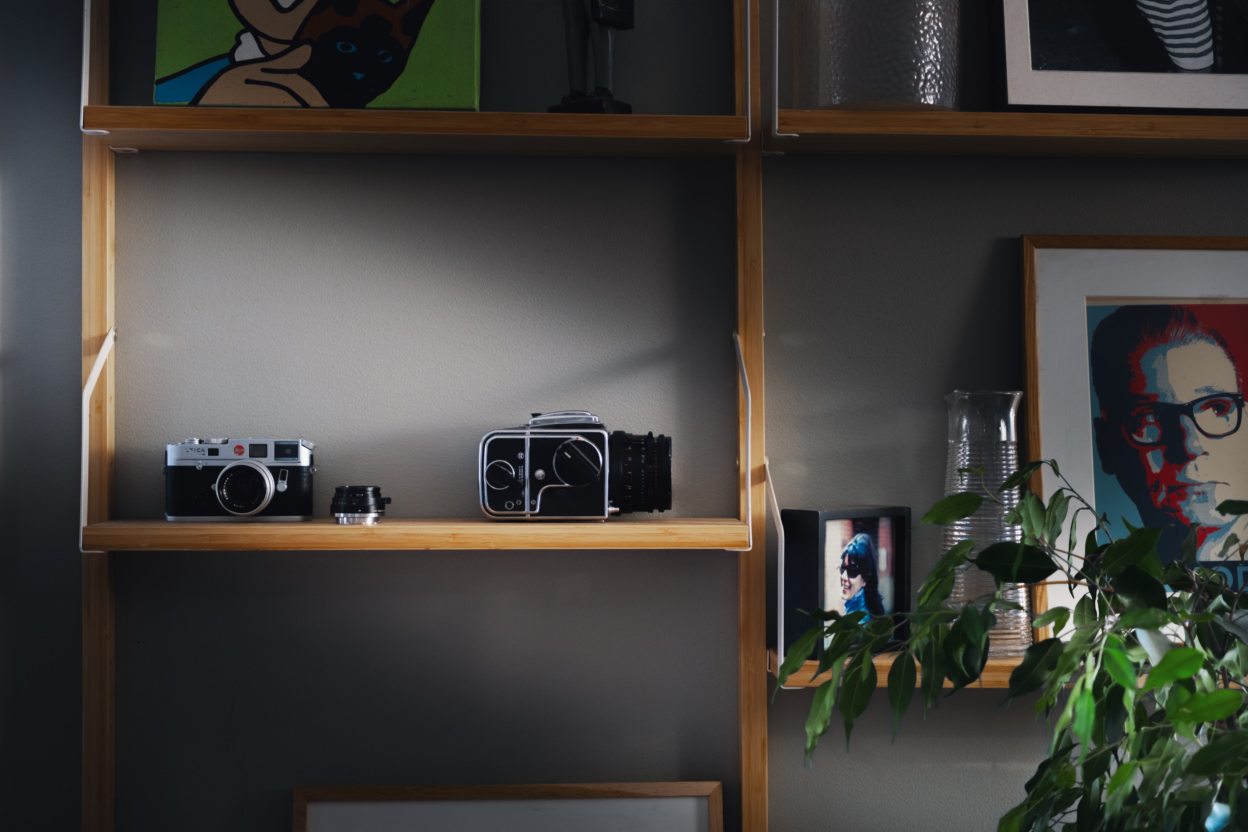 Et par eldre kameraer er plassert på en hylle i tre i en stue.