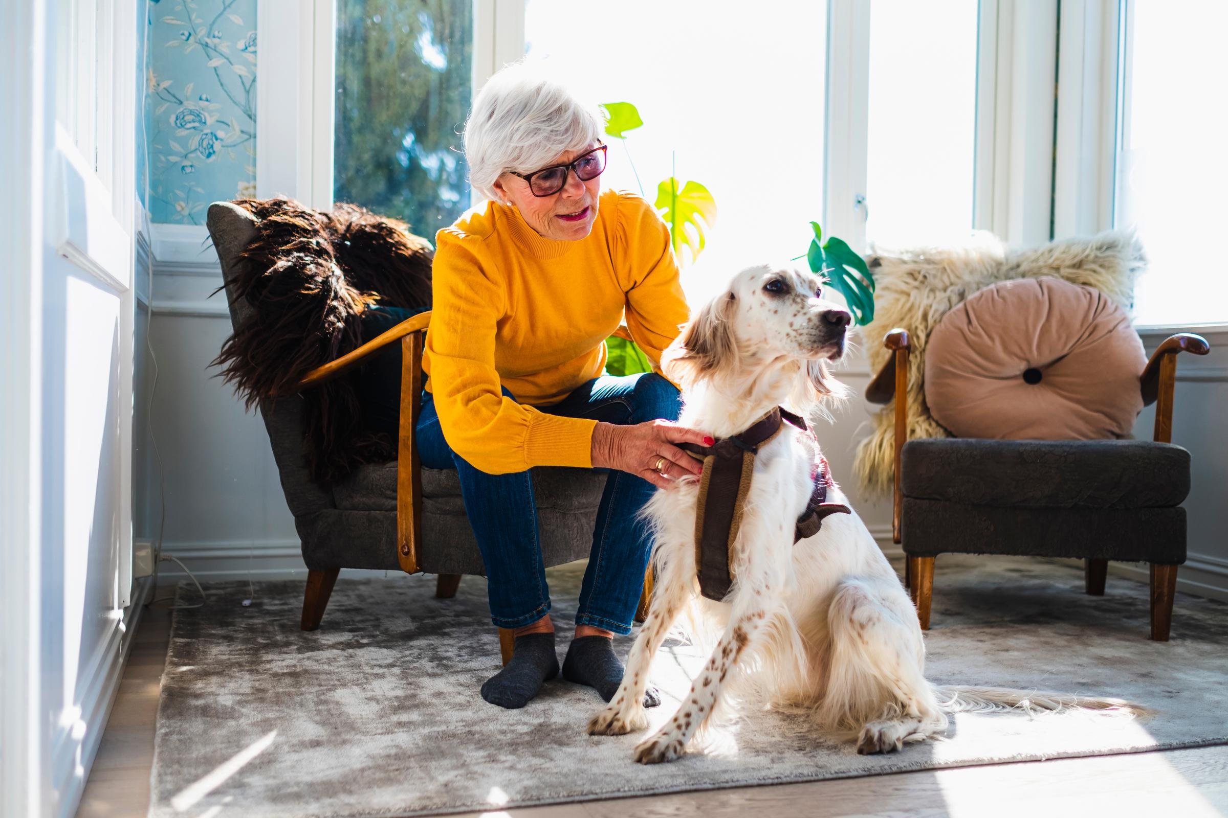 Eldre dame sitter i en lenestol med en hund framfor seg på gulvet, som hun ser på og har megge hender rundt. 