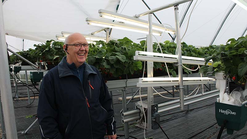 En mann står smilende inne i et drivhus med jordbærplanter, omgitt av teknisk utstyr og vekstlys.
