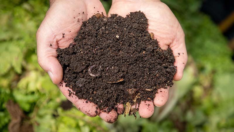 To hender fylt med jord.