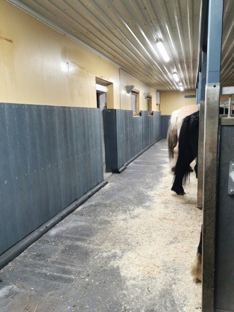 Gummimatter på gulvet i en stall.