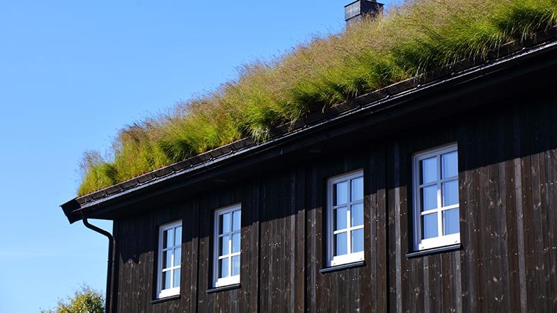 Hytte med torvtak under blå himmel.