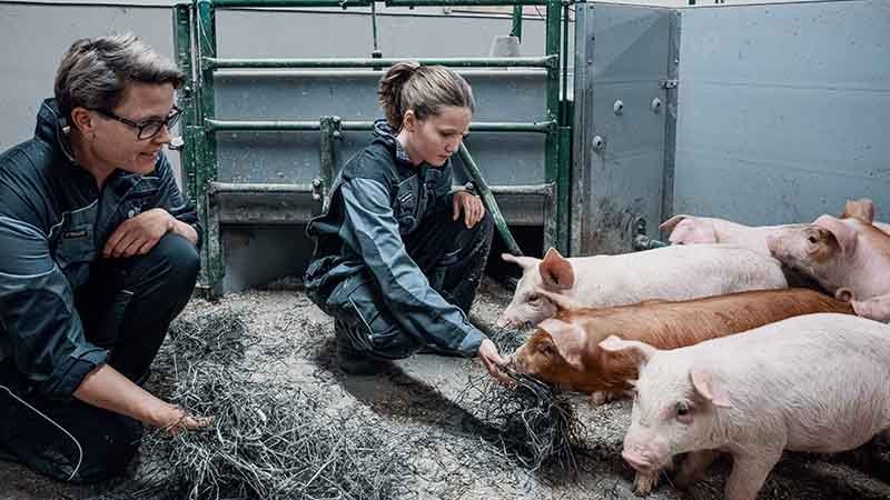 Ei dame og ei jente mater grisunger i en grisebinge.