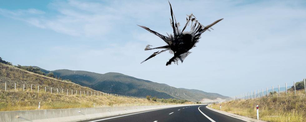 Steinsprutskade i frontrute