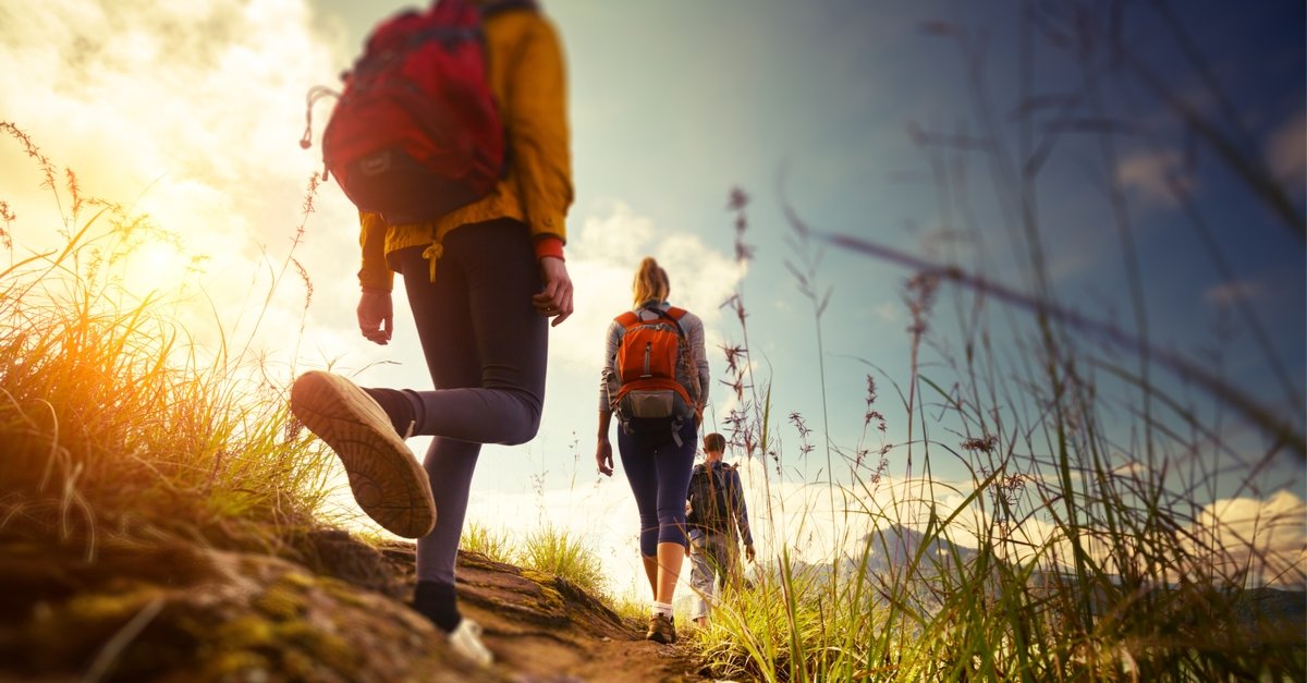 Mennesker går tur i sommerfjellet