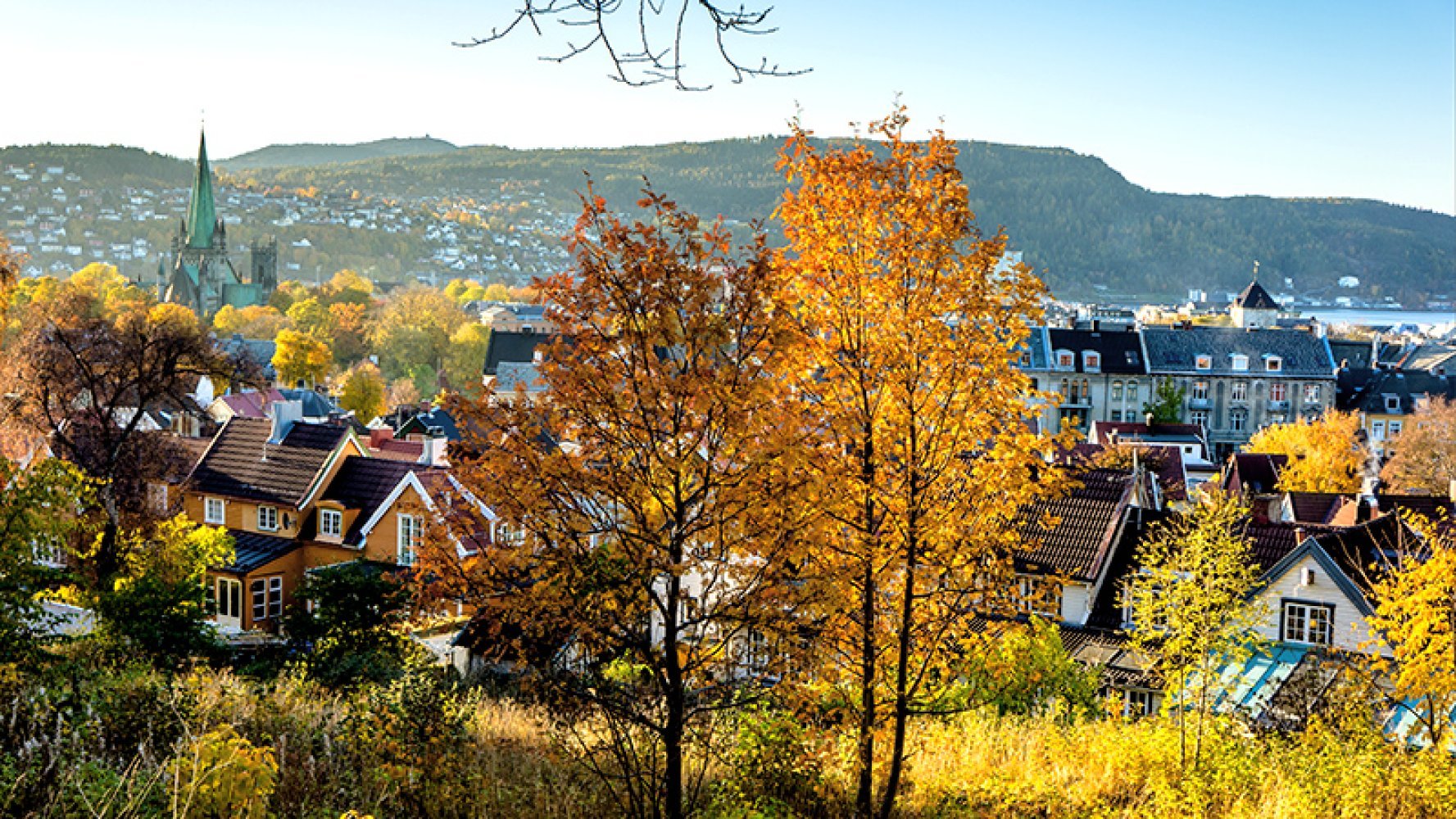 To trær i høstfarger foran et nabolag