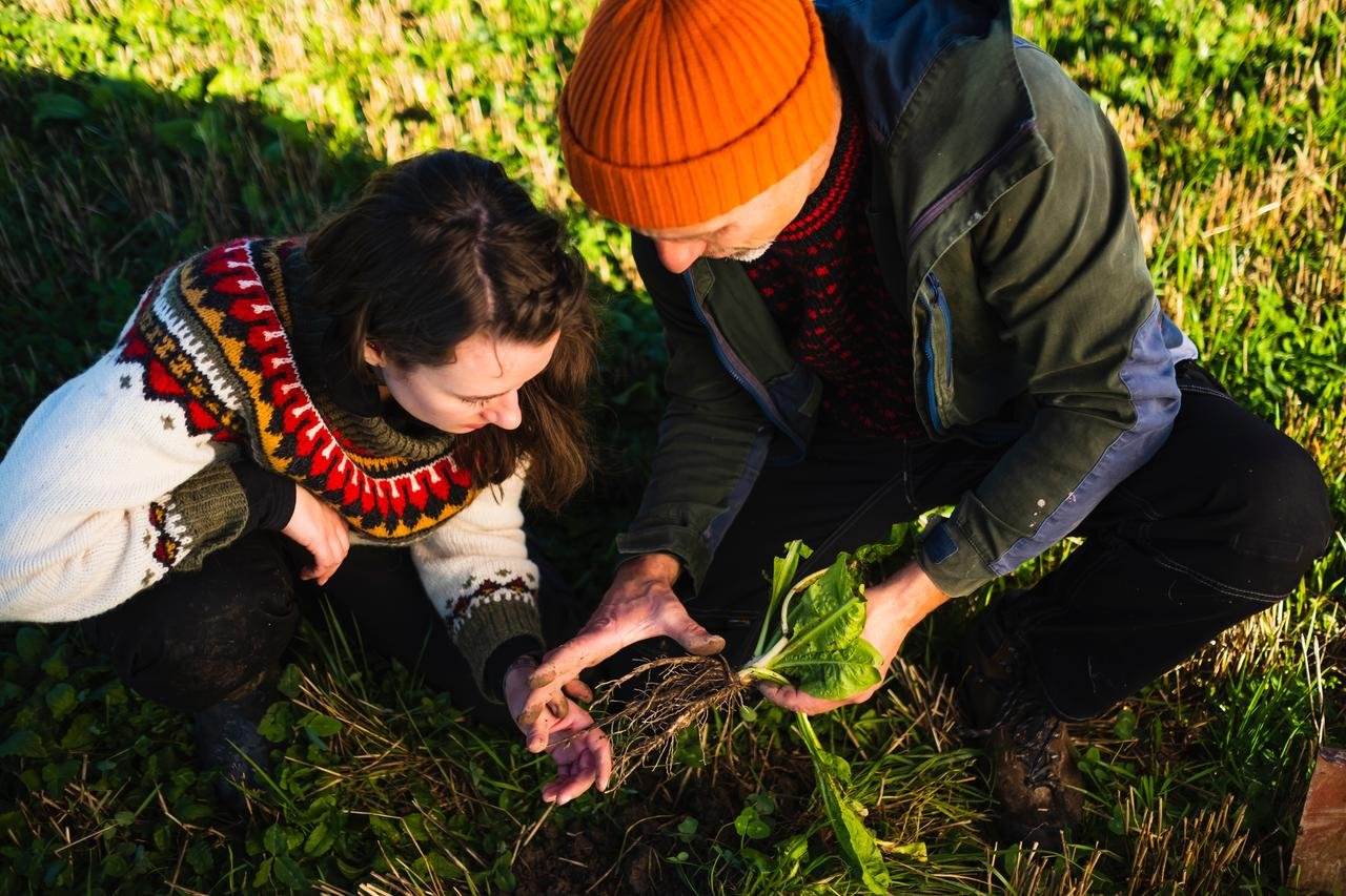En mann og en dame ser på røttene til en plante.