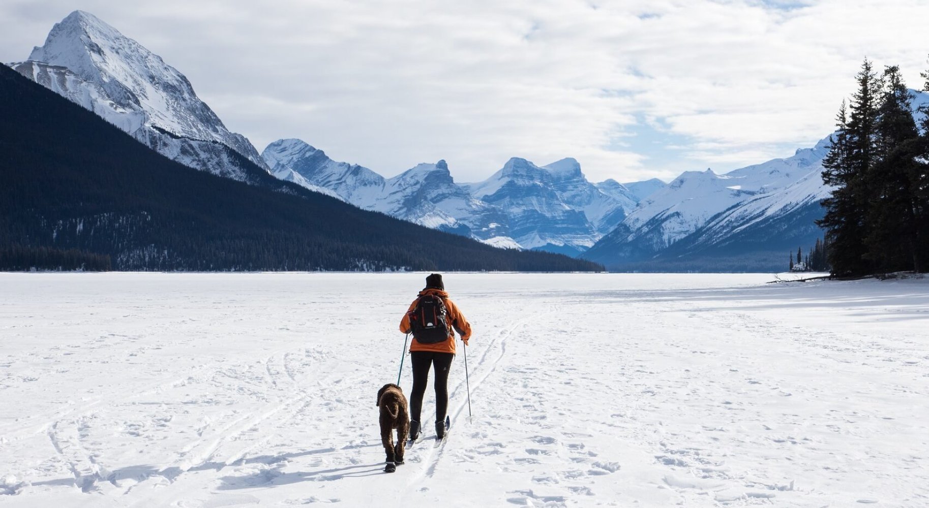 Mann går på ski over en snødekt slette med en hund ved siden, omgitt av høye fjell og furutrær under en delvis skyet himmel.