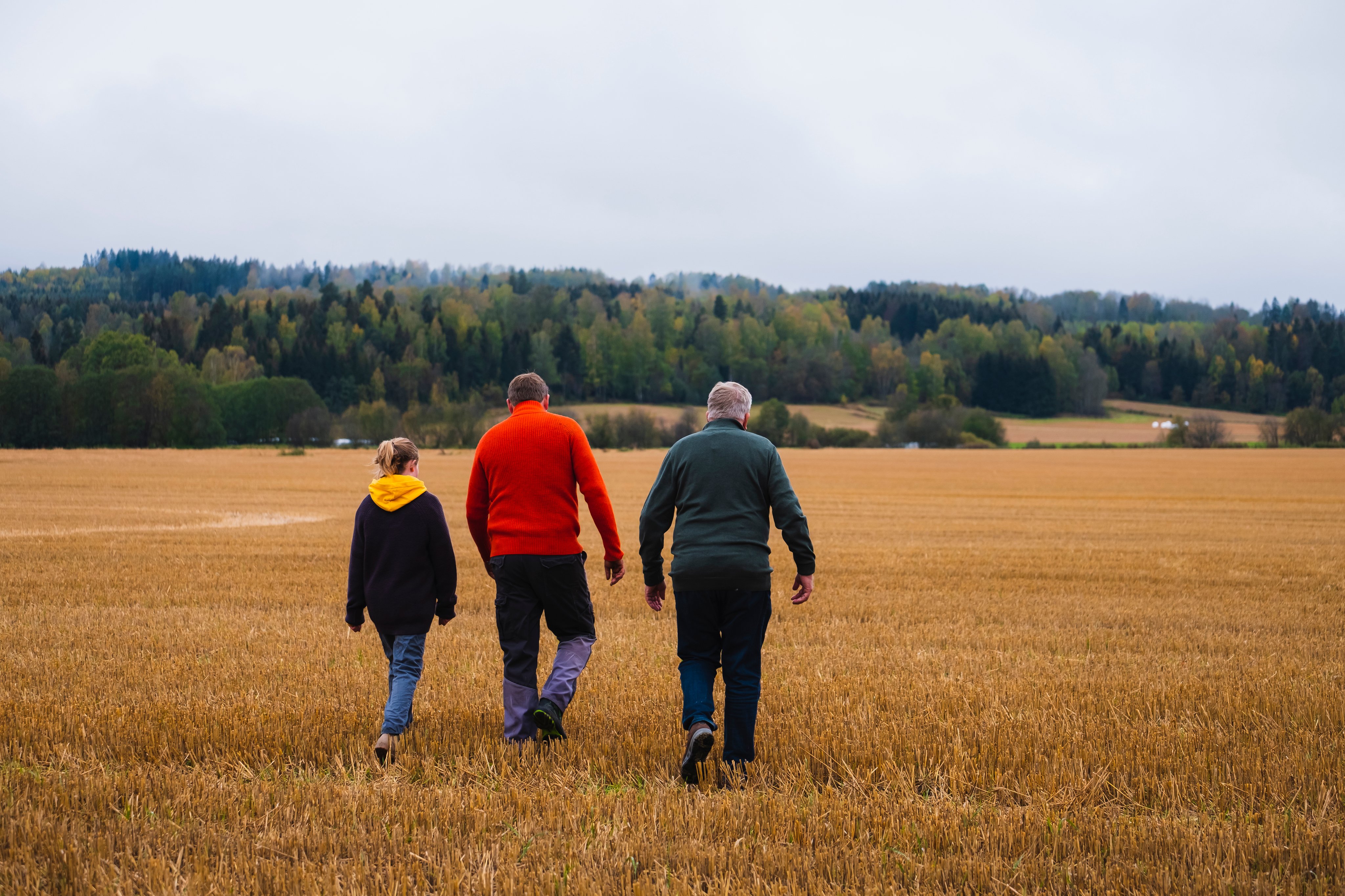 Tre mennesker går over en høstbrun eng.