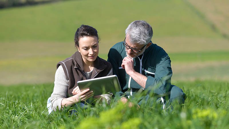 En mann og en dame sitter i åkeren og ser på et nettbrett.