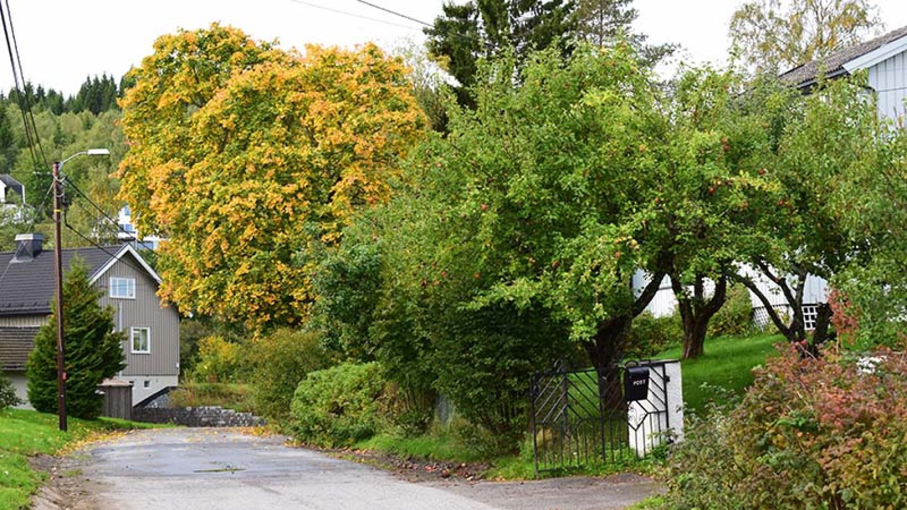 Boligområde med en gate omgitt av grønne og høstfargede trær.