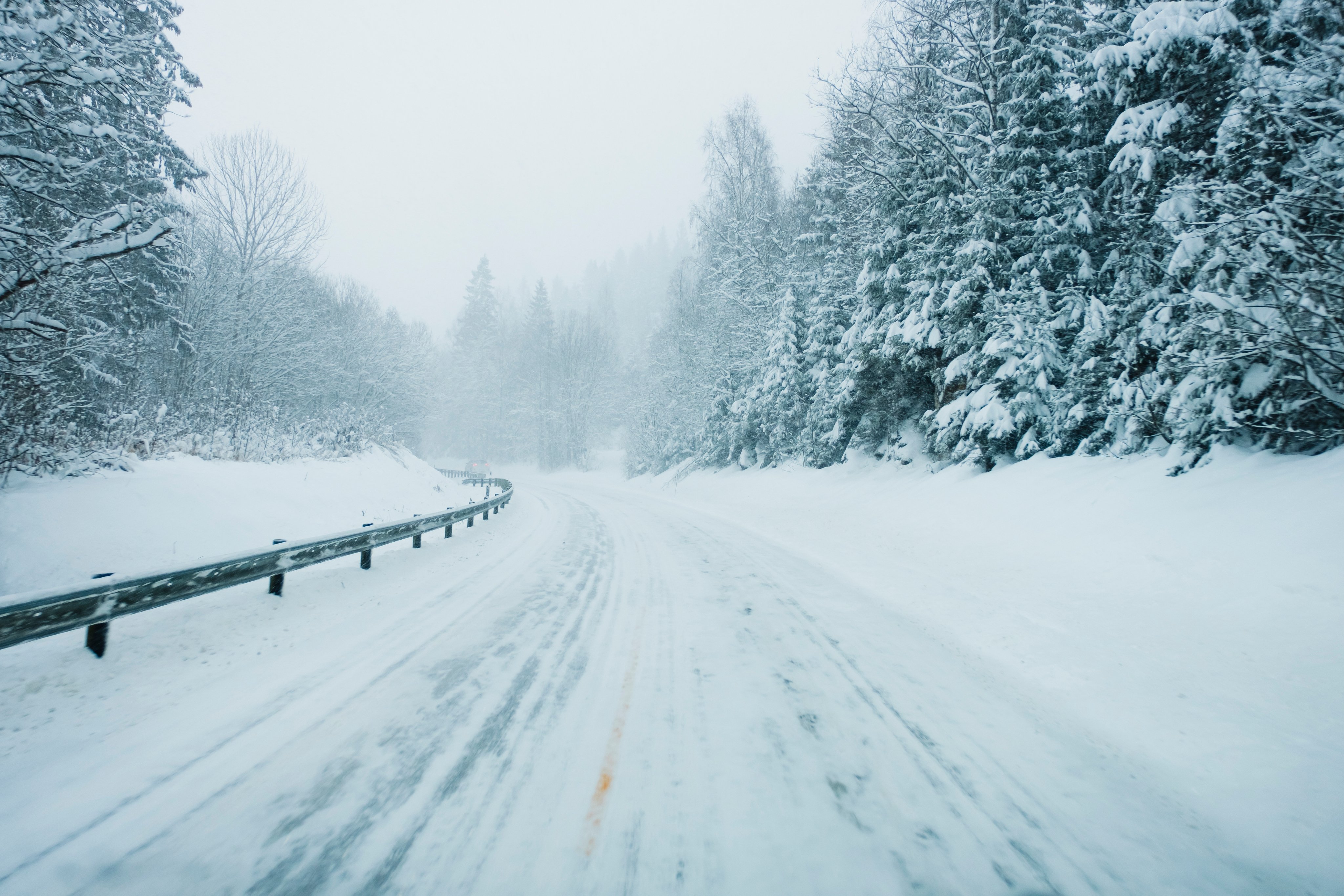 En snødekket vei med grantrær ved siden av.