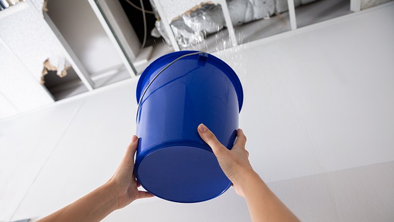 Person som holder en bøtte opp mot et tak som lekker.