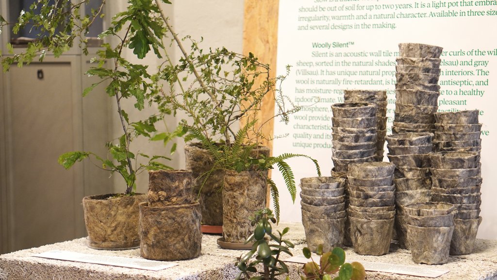 Plantepotter laget av ull og tare, utstilt på Designer Studio Oslo
