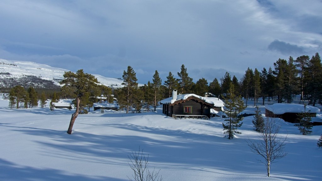 Brun hytte i snøkledd fjellterreng
