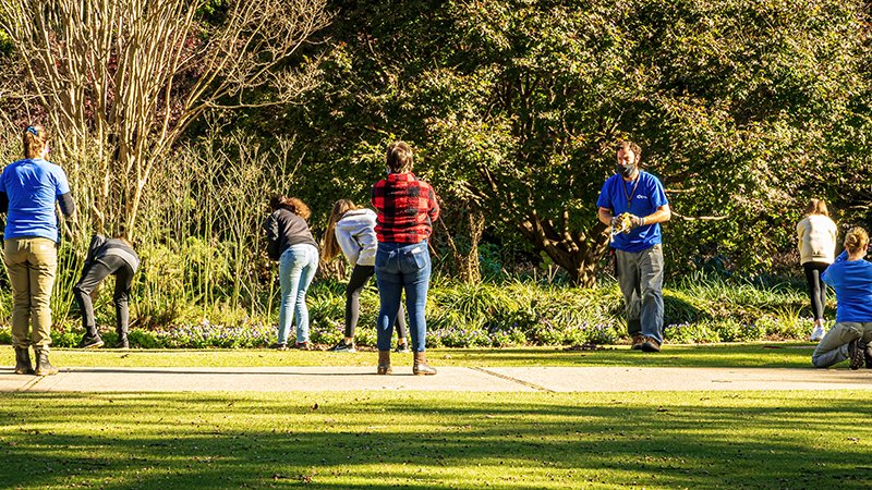Dugnadsgruppe i park. Personer står og bøyer seg i gresset for å plukke søppel og rydde i beplantningen, med trær og busker i bakgrunnen.