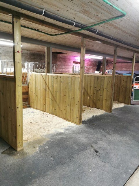 Gummimatter på gulvet i båsene til hestene.