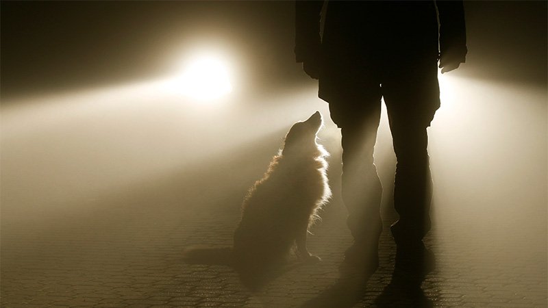 Silhuetten av et menneske i tåke ved siden av en hund som sitter og ser opp på vedkommende