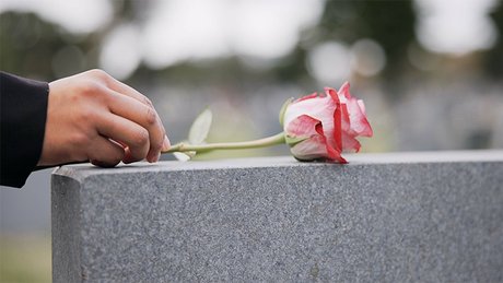 Det legges en rød rose på en gravstein.