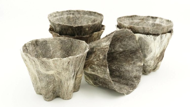 Woolly Pot, plantepotter laget av ull og tare