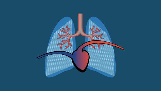 Dynamic_Lung_High_Resistance