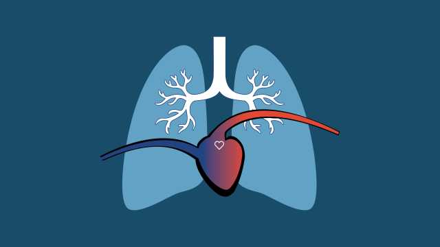 Dynamic_Lung_Normal_Resistance