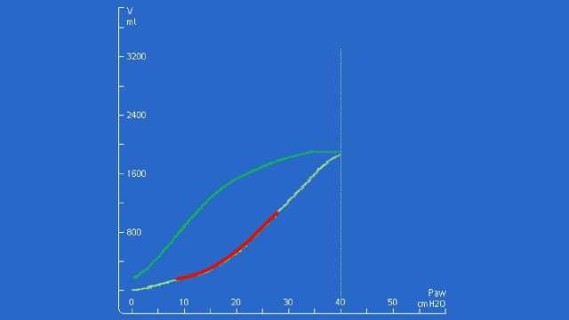 Assessing lung recruitability