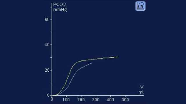 Screenshot mit CO2-Anstieg