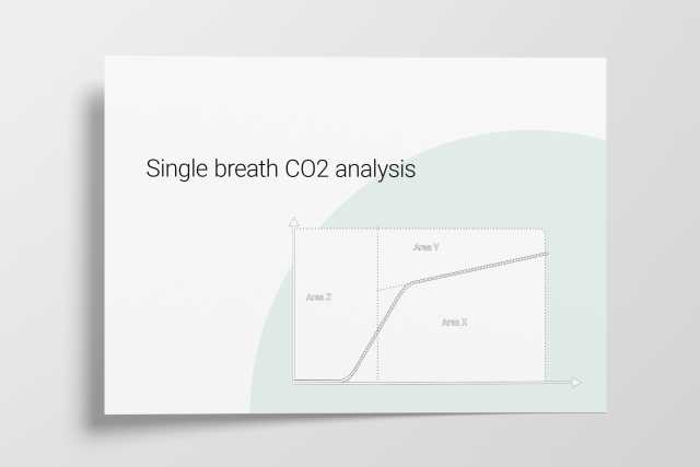 Illustration for the single breath CO2 analysis