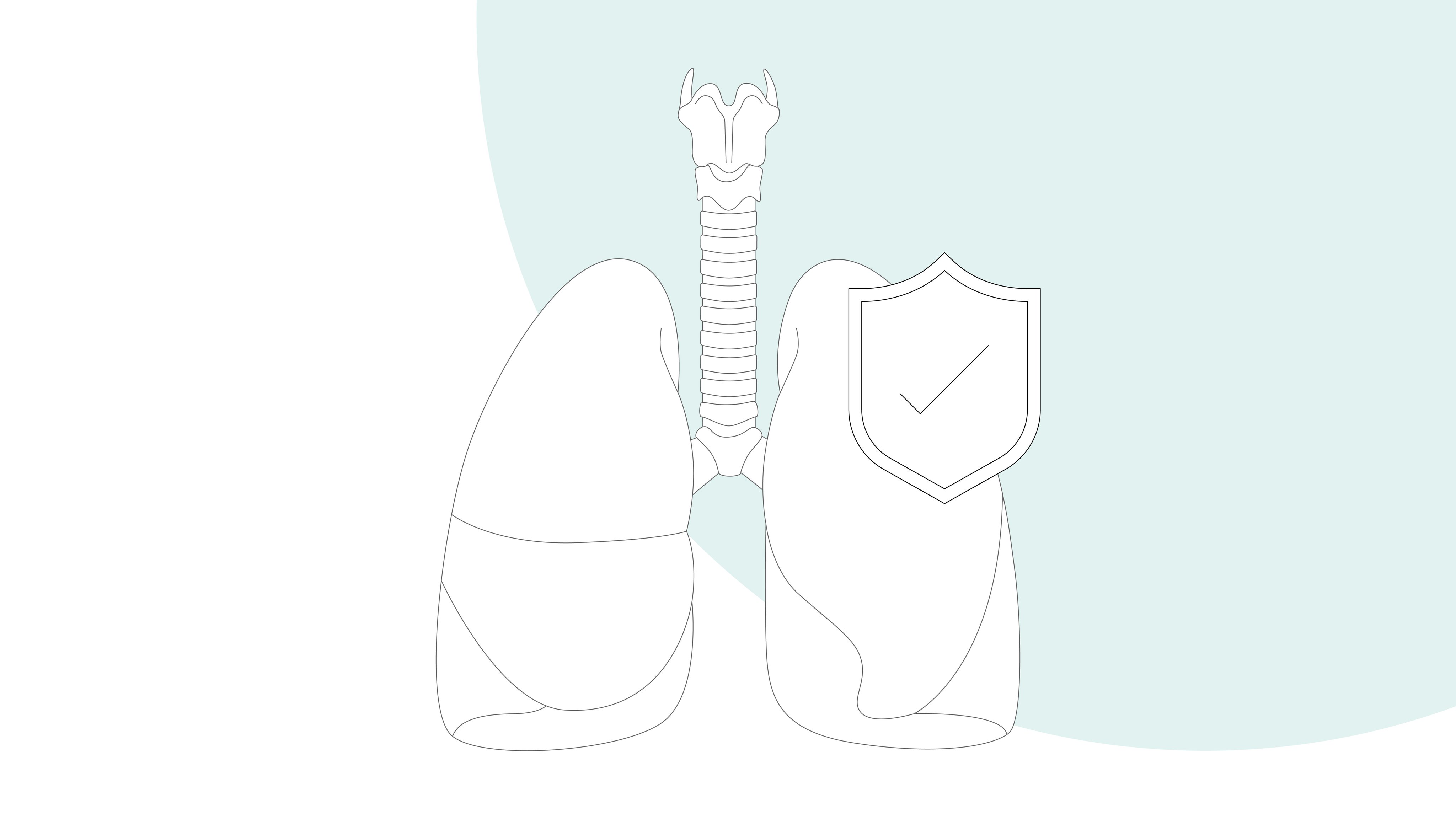 Graphic illustration: human lung with symbol "protective shield" as sign for lung protection