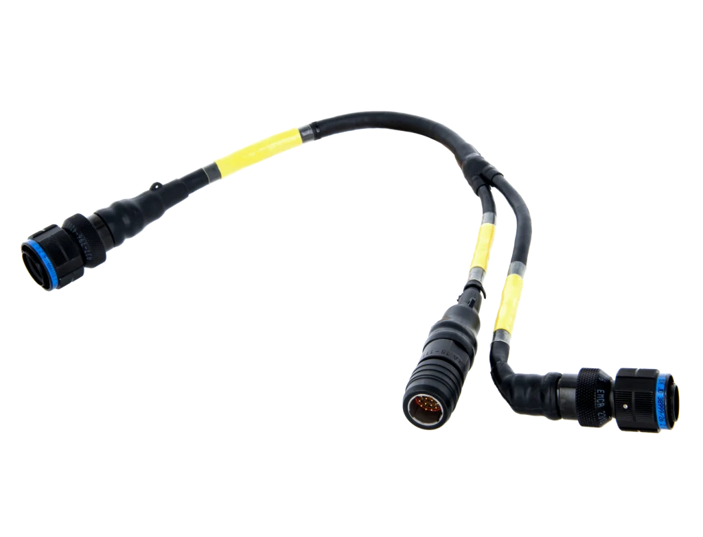 Multibranch harness assembly 