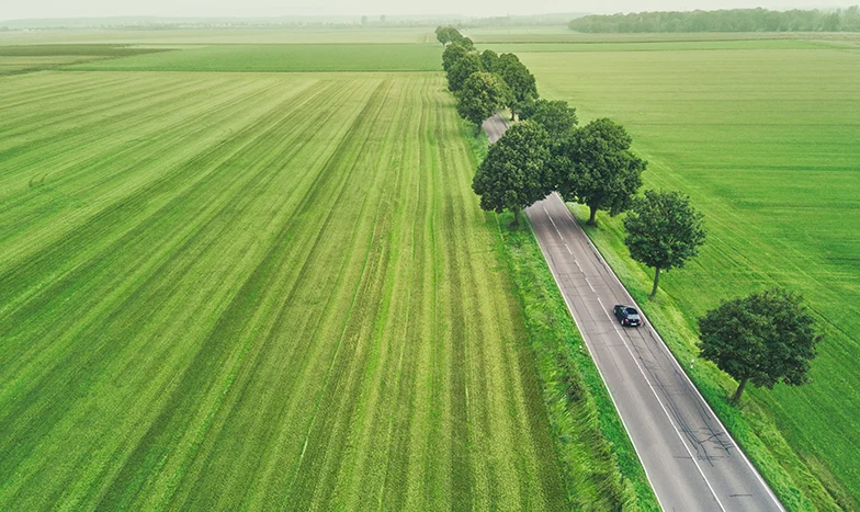 Draufsicht auf ein schwarzes Elektroauto in einer grünen Landschaft; die Strasse verläuft bis zum Horizont, während das Fahrzeug unter Bäumen sichtbar ist.