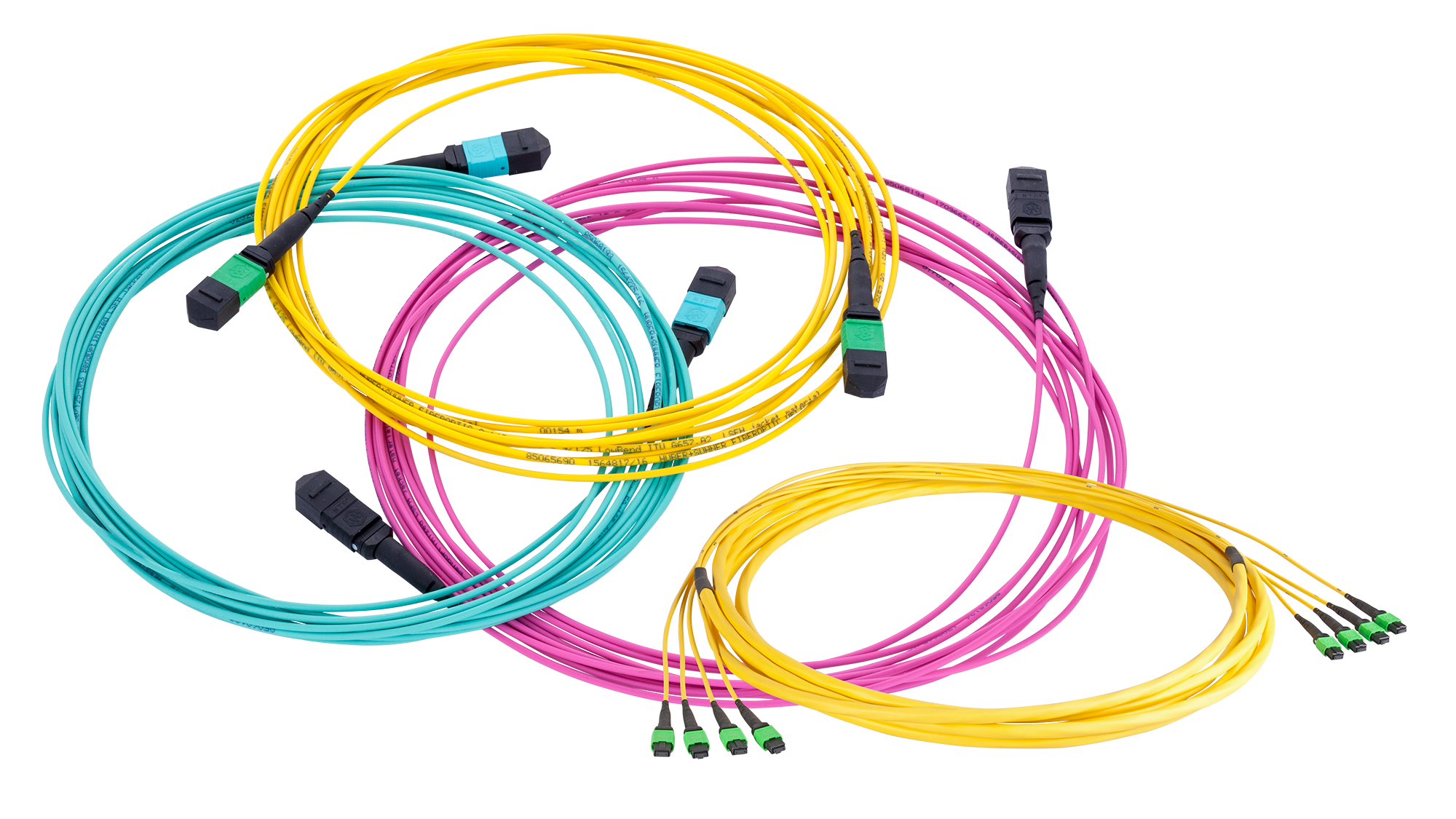 FO Assemblies Patch cord MTP