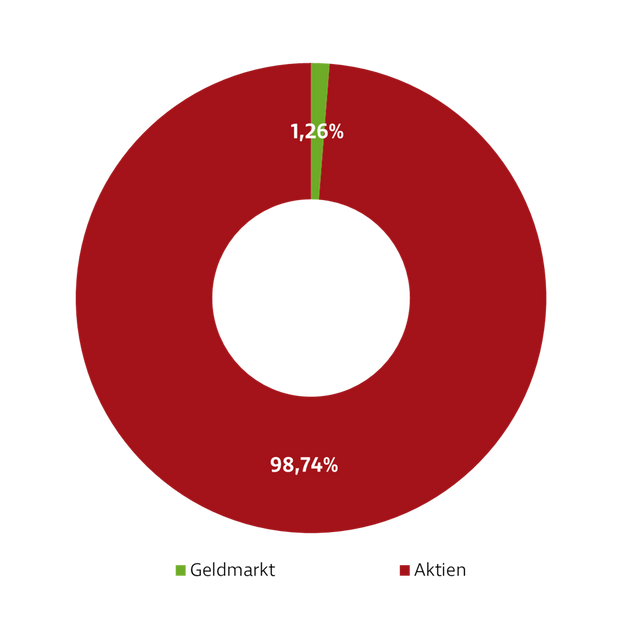 Donut-Diagramm zur Darstellung der Investmentverteilung der Strategie Aktien Global. Die Anteile sind: Aktien: 99,06 % Geldmarkt: 0,94 %