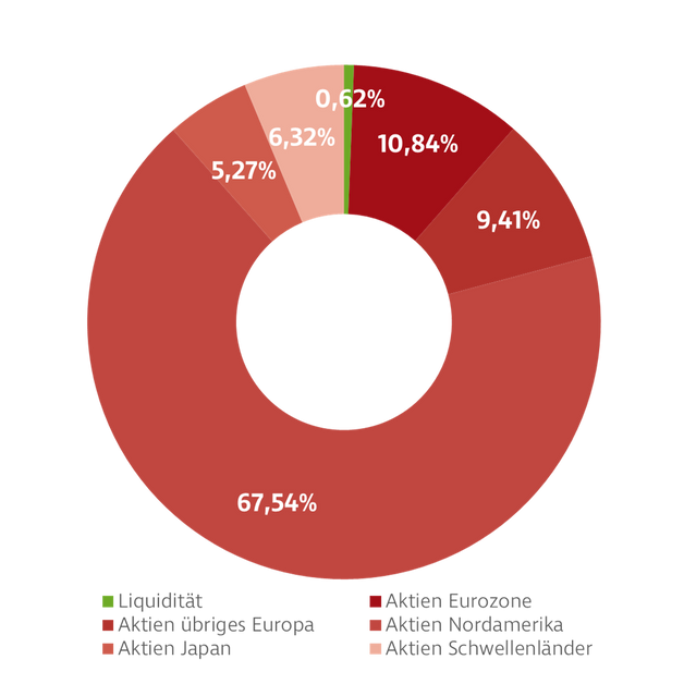 Donut-Diagramm zur Darstellung der Investmentverteilung des Einzelaktien Global Fonds. Die Anteile sind: USA: 65,75 %, Japan: 5,85 %, GB: 3,93 %, Frankreich: 3,13 %, Deutschland: 3,03 %, Kanada: 2,51 %, Taiwan: 2,38 %, Andere: 13,42 %.