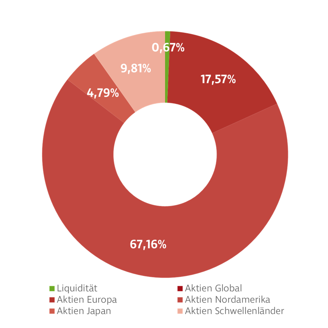 Donut-Diagramm zur Darstellung der Investmentverteilung des Einzelaktien Global Fonds. Die Anteile sind: USA: 65,75 %, Japan: 5,85 %, GB: 3,93 %, Frankreich: 3,13 %, Deutschland: 3,03 %, Kanada: 2,51 %, Taiwan: 2,38 %, Andere: 13,42 %.