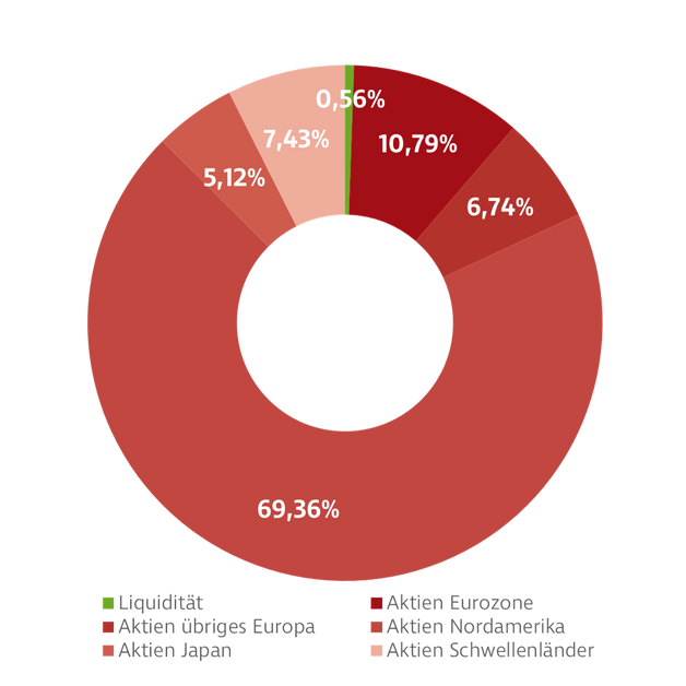 Donut-Diagramm zur Darstellung der Investmentverteilung des Einzelaktien Global Fonds. Die Anteile sind: USA: 65,75 %, Japan: 5,85 %, GB: 3,93 %, Frankreich: 3,13 %, Deutschland: 3,03 %, Kanada: 2,51 %, Taiwan: 2,38 %, Andere: 13,42 %.