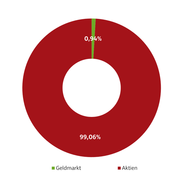 Donut-Diagramm zur Darstellung der Investmentverteilung der Strategie Aktien Global. Die Anteile sind: Aktien: 99,06 % Geldmarkt: 0,94 %
