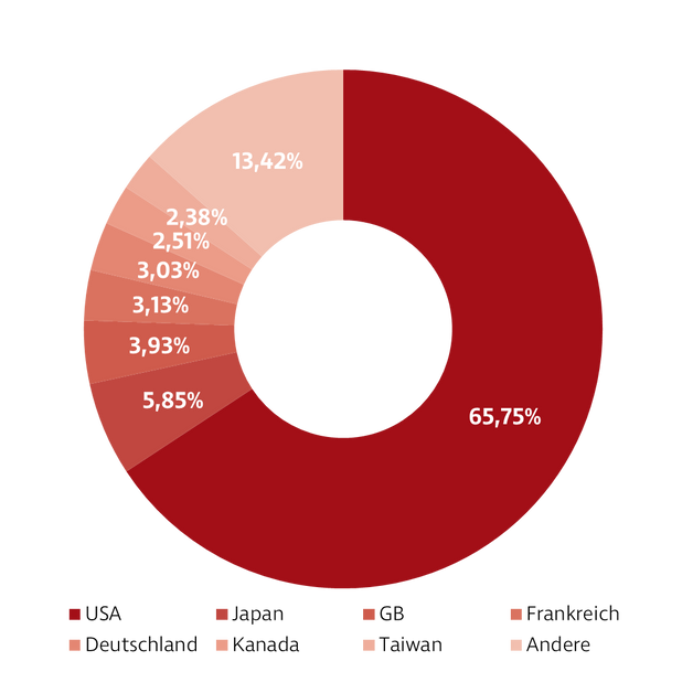 Donut-Diagramm zur Darstellung der Investmentverteilung des Einzelaktien Global Fonds. Die Anteile sind: USA: 65,75 %, Japan: 5,85 %, GB: 3,93 %, Frankreich: 3,13 %, Deutschland: 3,03 %, Kanada: 2,51 %, Taiwan: 2,38 %, Andere: 13,42 %.