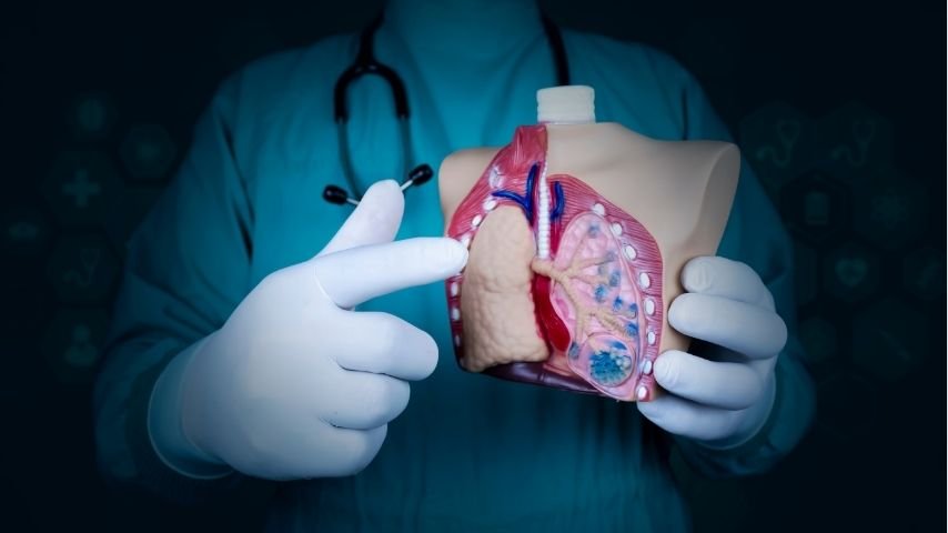 How Lung Transplants Work- The Complete Journey From Diagnosis to Donor Lung