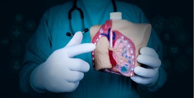 How Lung Transplants Work- The Complete Journey From Diagnosis to Donor Lung How Lung Transplants Work- The Complete Journey From Diagnosis to Donor Lung