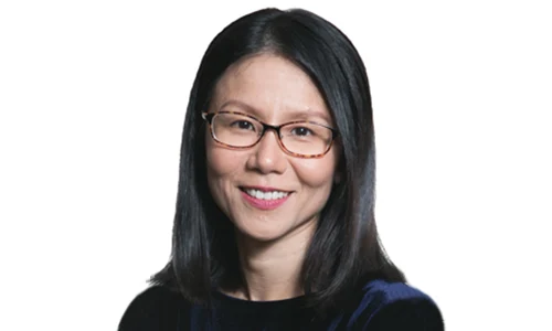 Dr Chin Tan Min